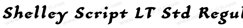 Shelley Script LT Std Regular字体转换